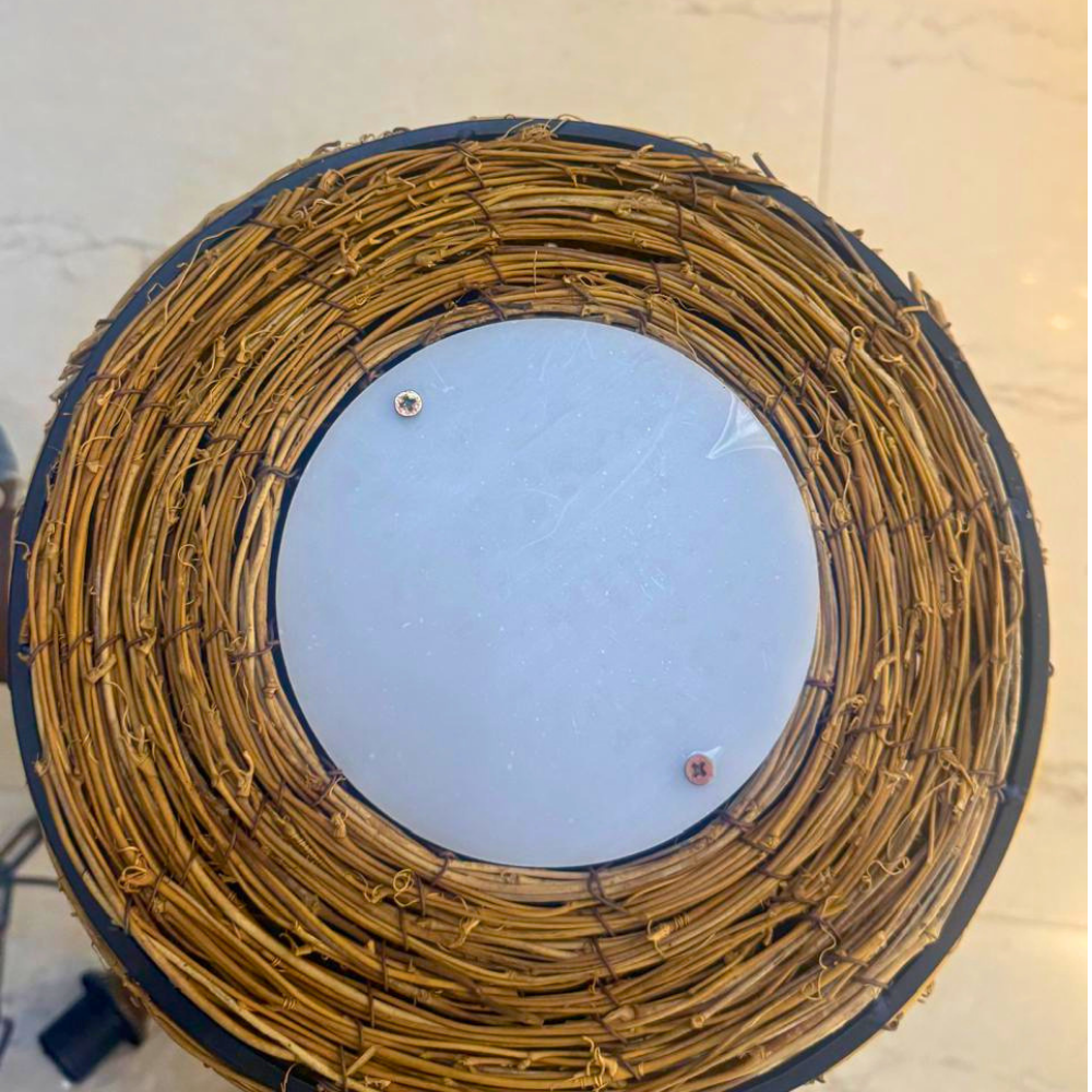 Nest Hanging Light