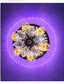 Rotating Wall Light