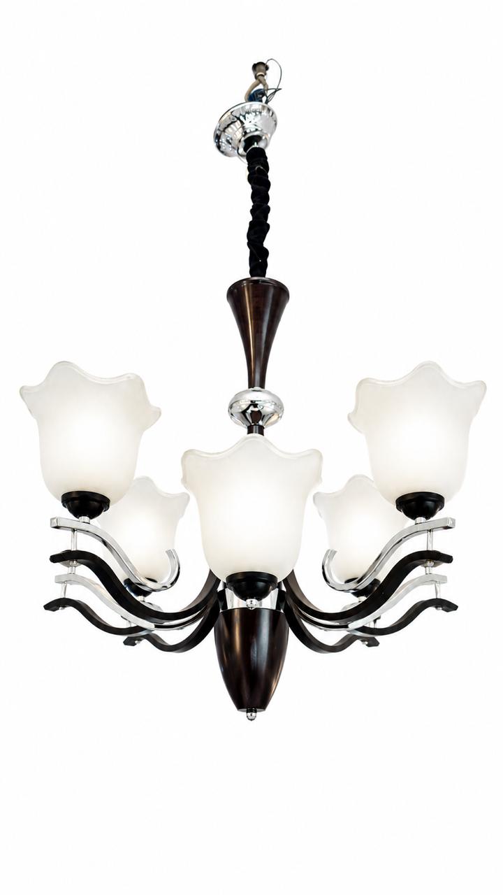 Elegatic Trv Jhomer Main image